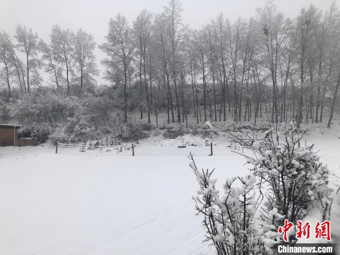 娛樂城：青海省多地日降水量创历史极值